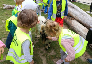 Dzieci głaszczą zwierzęta mieszkajace w mini Zoo.