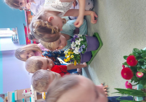 Dzieci oglądają i wąchają wiosenne kwiaty