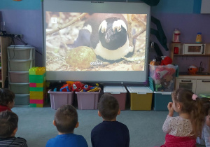 Dzieci siedzą na dywanie i oglądają wyświetlany na tablicy multimedialnej film edukacyjny o pingwinach.