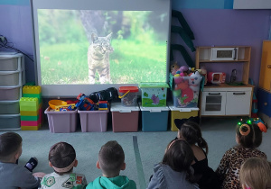 Dzieci siedzą na dywanie i oglądają wyświetlaną na tablicy multimedialnej prezentację na temat kotów.