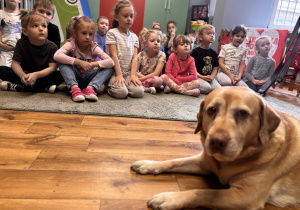 Dzieci siedzą na dywanie i słuchają wypowiedzi funkcjonariusza Straży Miejskiej. Na podłodze przed nimi leży pies Koka.