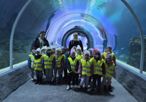 Grupa dzieci wraz z nauczycielkami stoi w tunelu podwodnym w Zoo-Orientarium.