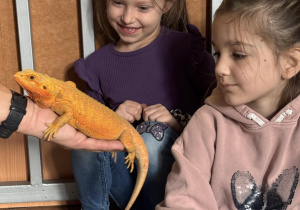 Dwie dziewczynki oglądają z bliska agamę brodatą.