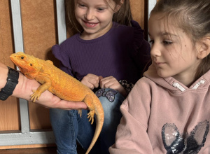 Warsztaty edukacyjne ze zwierzętami w naszym przedszkolu!