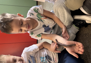 Chłopiec patrzy jak krocionóg wędruje po jego dłoni.