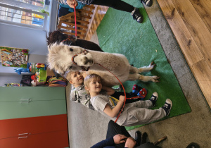 Biała alpaka stoi na dywanie, dwóch chłopców przytula się do niej.