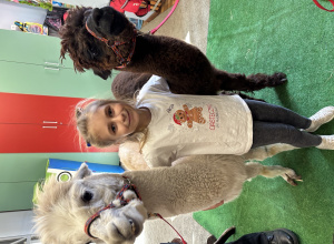 Spotkanie z alpakami.