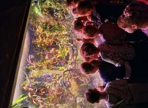 Niezwykła przygoda w Orientarium Zoo Łódź!