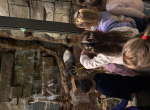 Jesienna wyprawa do Orientarium Zoo Łódź!