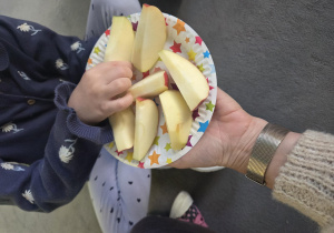 Dziecko sięga po kawałek jabłka podanego na kolorowym talerzyku trzymanym przez osobę dorosłą.